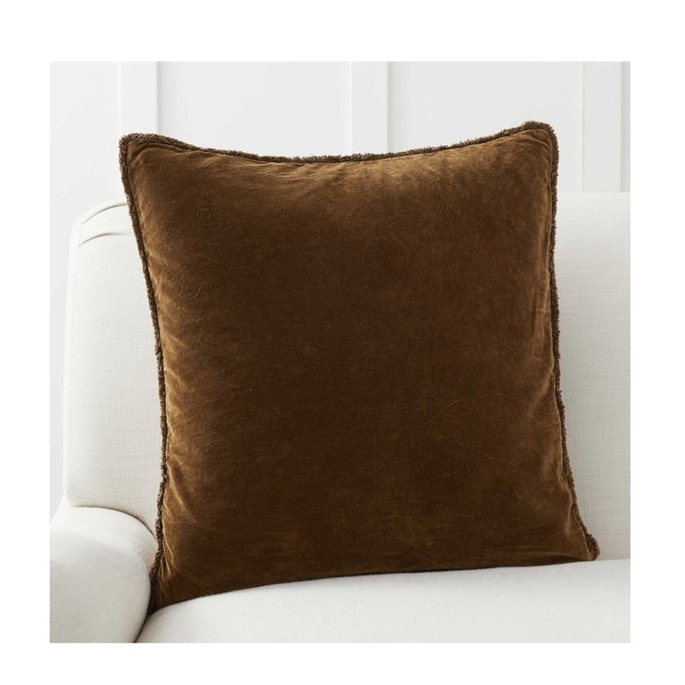 Pottery Barn Velvet Throw Pillow Cover (4)